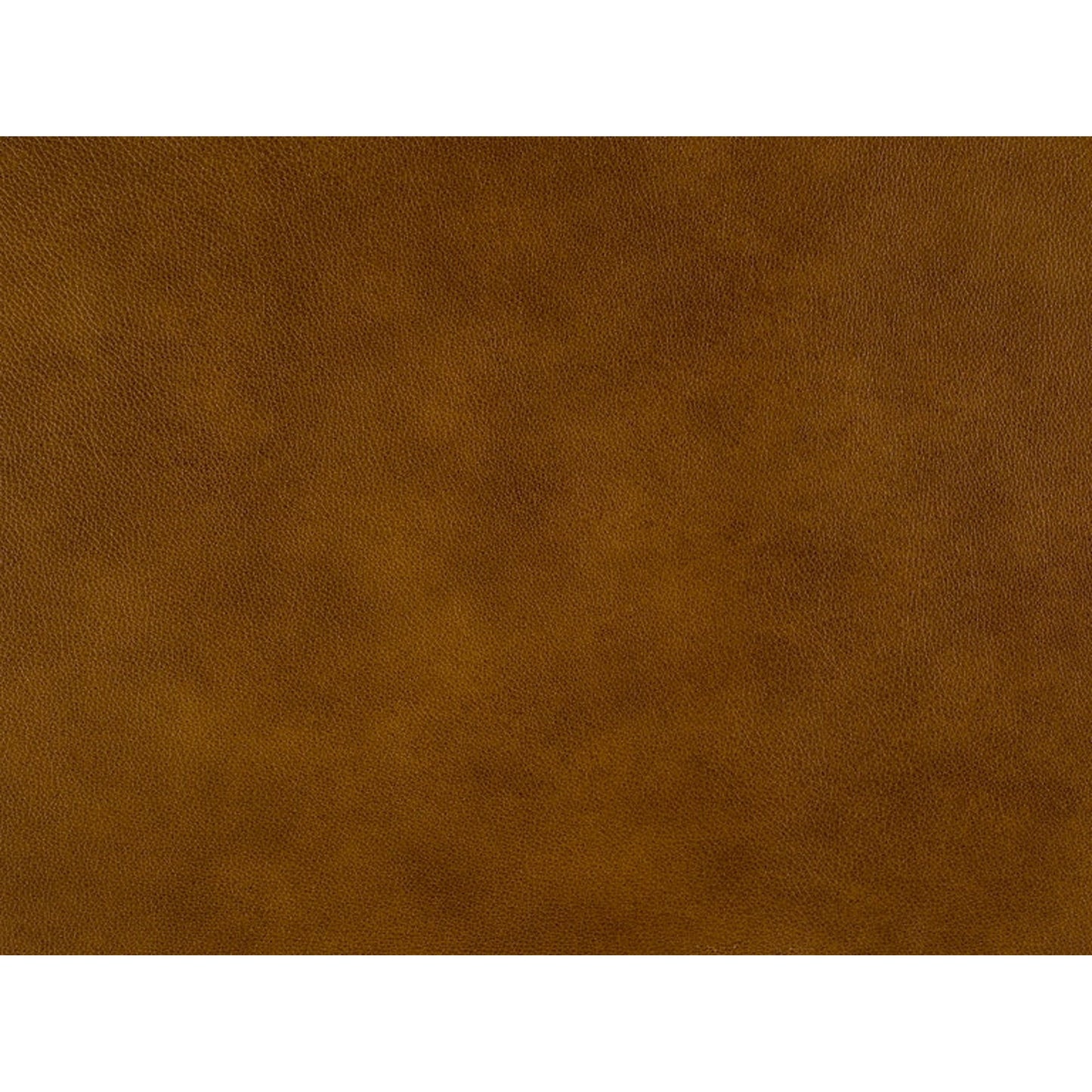 002 SI-1873042 | Additional Silo | Carrado Stationary Chair by Bradington-Young by Hooker Furniture in brown and plantation finish, brass. Made from 100% leather in a unique style.