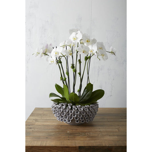 Iris Bowl by Accent Decor in dark-blue. Made from ceramic in a modern style.