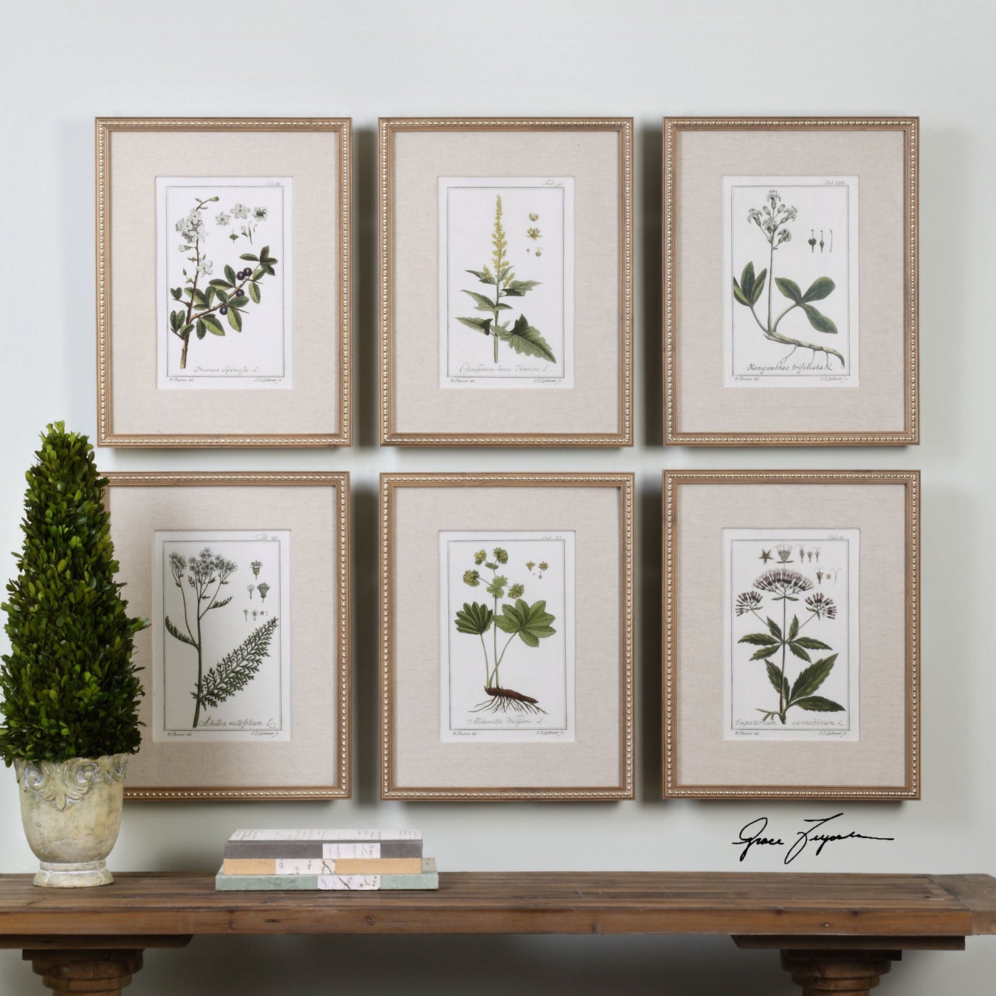 002 S-253982 | Additional Silo | Green Floral Botanical Study Prints (Set of 6) by Uttermost in multi. Made from pine in a cottage & farmhouse style.