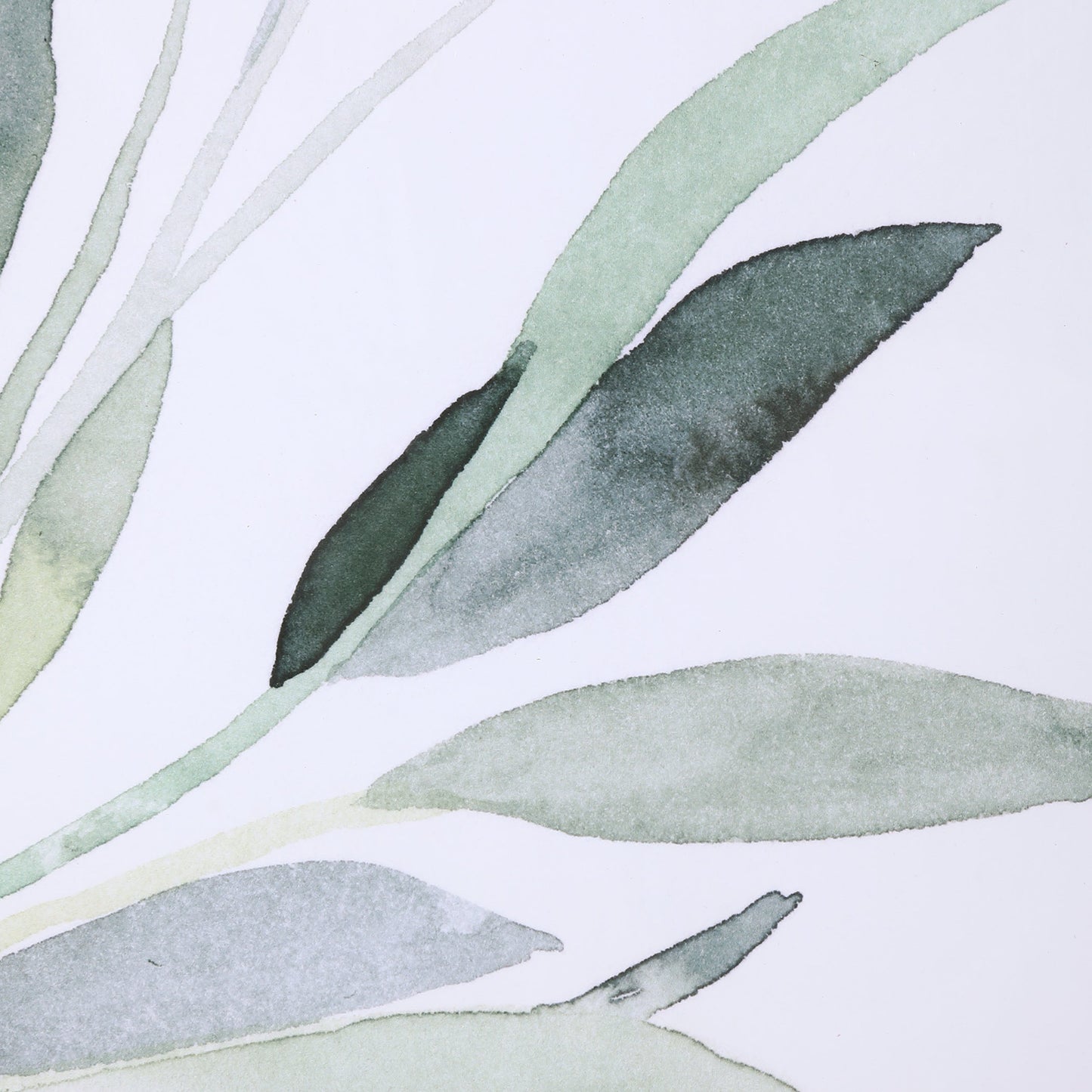 002 SR-824235 | Additional Silo | Simple Sage Watercolor Prints by Uttermost in multi. Made from plastic, glass, paper in a transitional style.