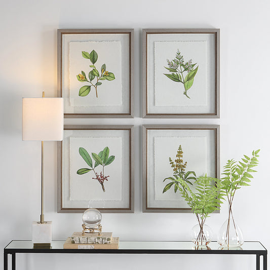 Wildflower Study Framed Prints by Uttermost in multi and light gray. Made from plastic, glass, paper in a modern style.