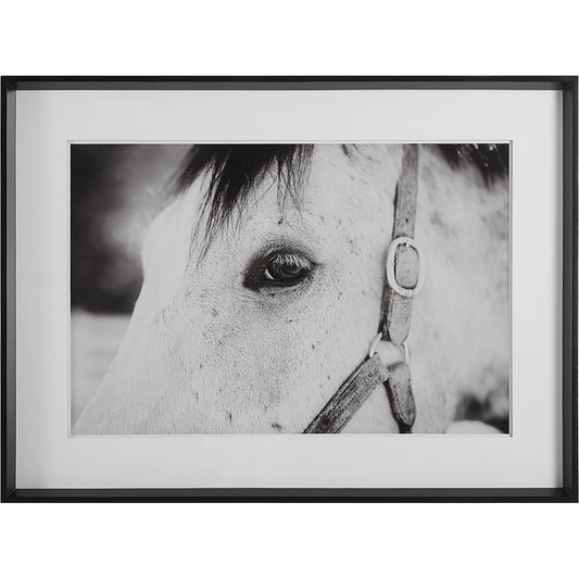 Eye of the Beholder Framed Print by Uttermost in multi and satin black. Made from pinewood, glass, mdf, paper in a modern style.