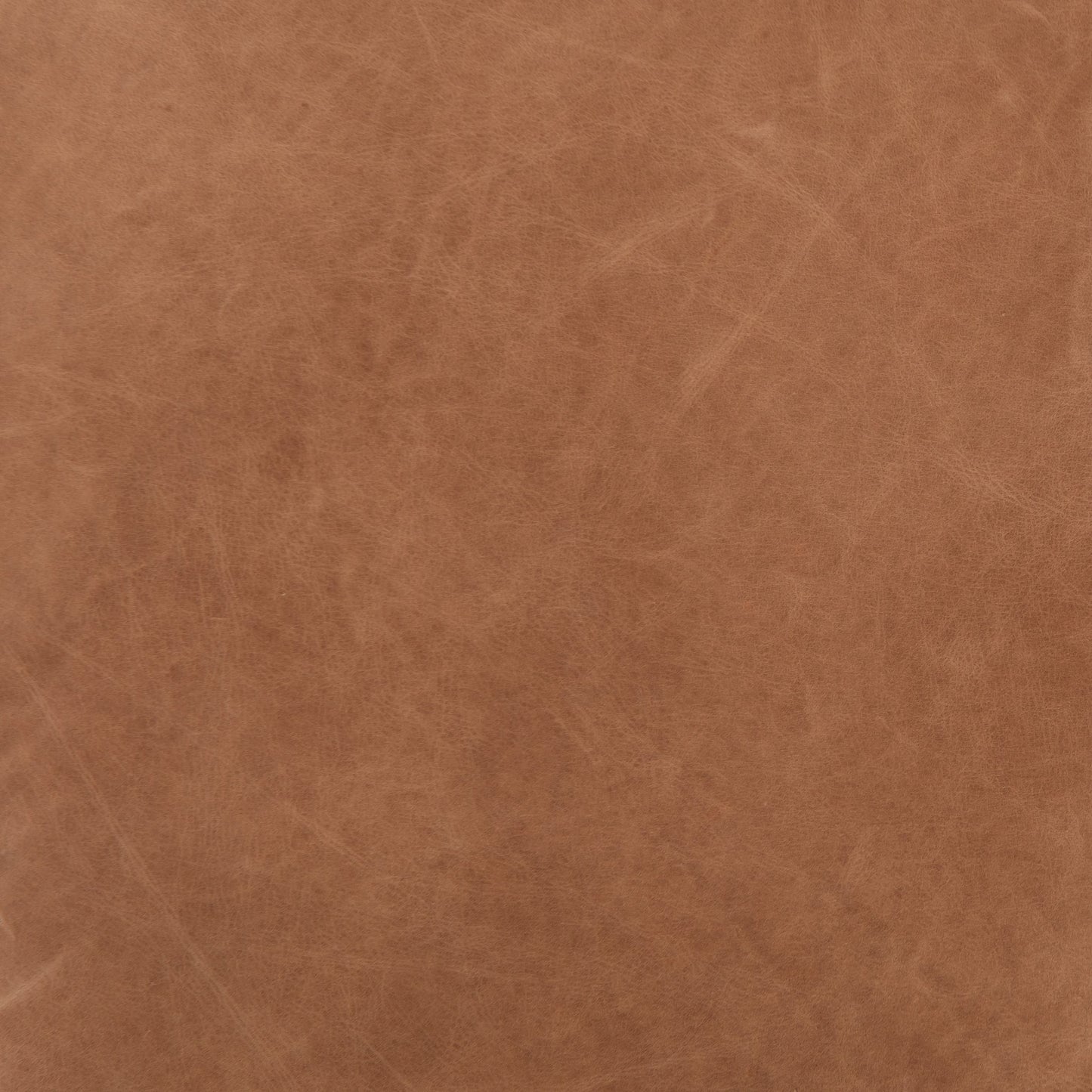 006 SR-810048 | Additional Silo | Taryn Chair by Four Hands. Made from top grain leather, iron, 100% polyester in a modern style.