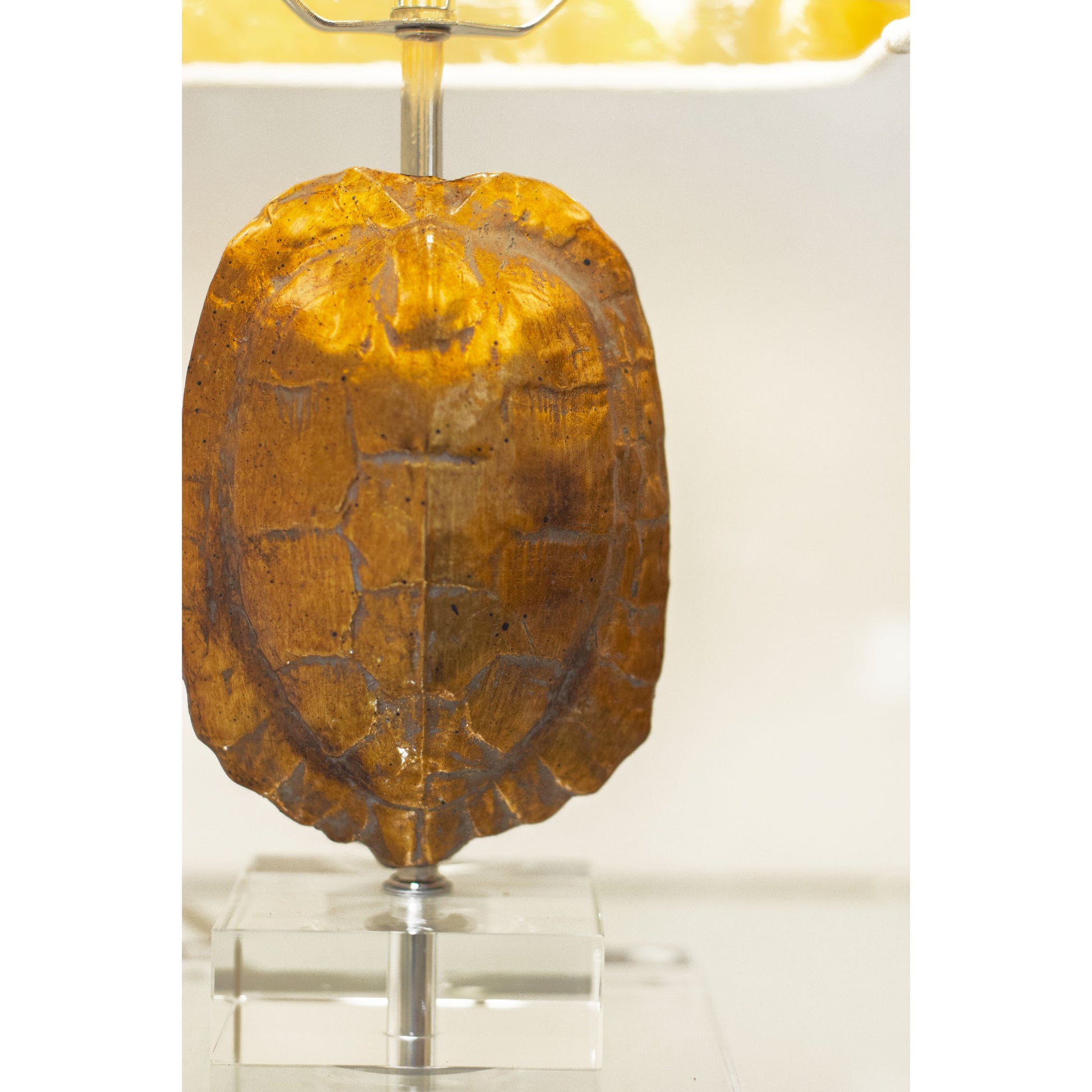 Tortoise Accent Lamp by Couture Lamps in india gold. Made from resin, crystal in a eclectic & global style.