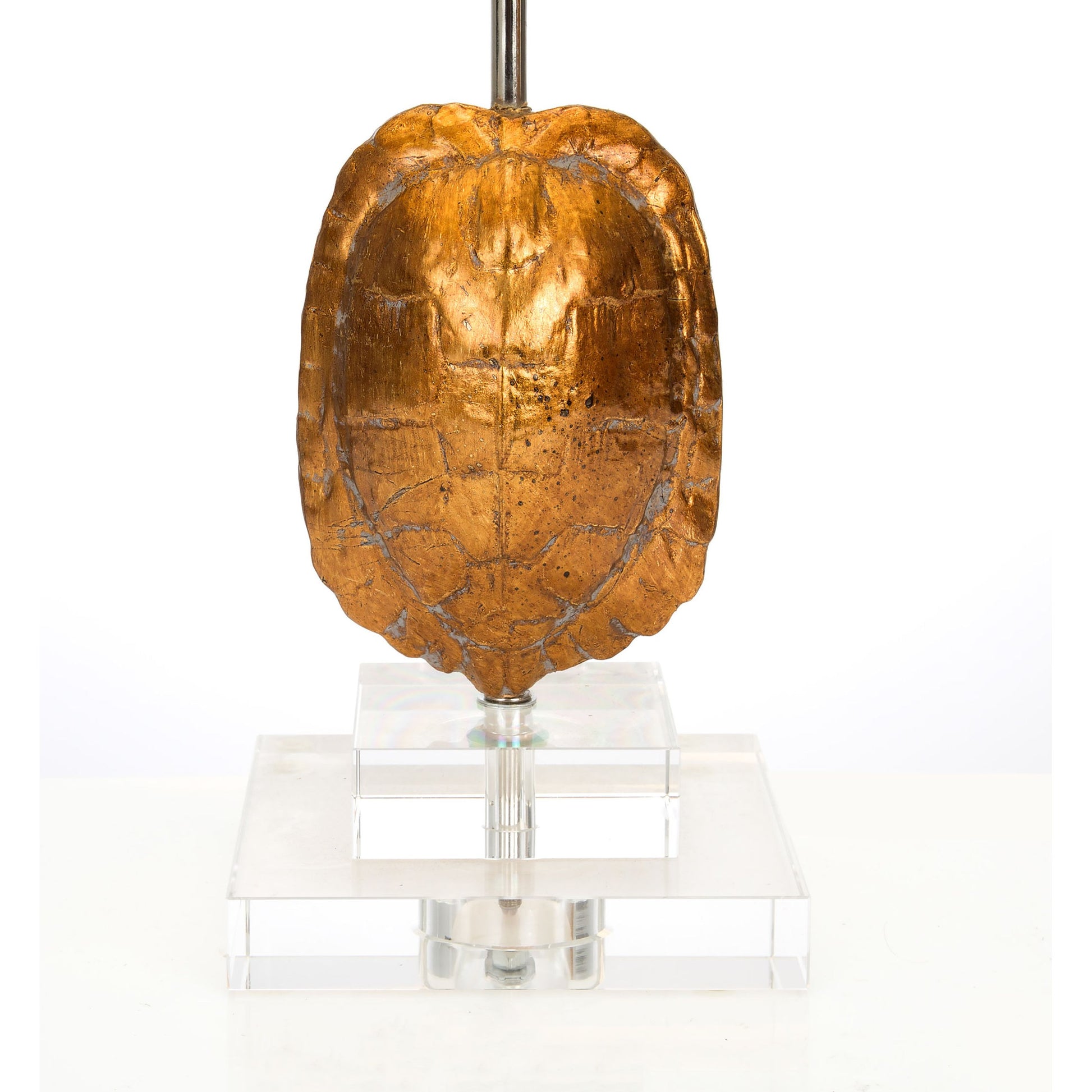Tortoise Accent Lamp by Couture Lamps in india gold. Made from resin, crystal in a eclectic & global style.