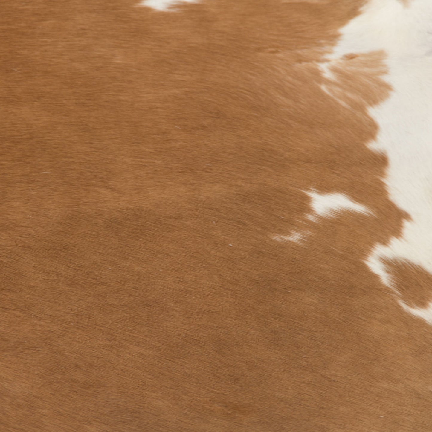 002 S-336956 | Additional Silo | Brown & White Cowhide by Zentique in spotted brown, white and brazilian cowhide. Made from brazilian cowhide in a rustic style.