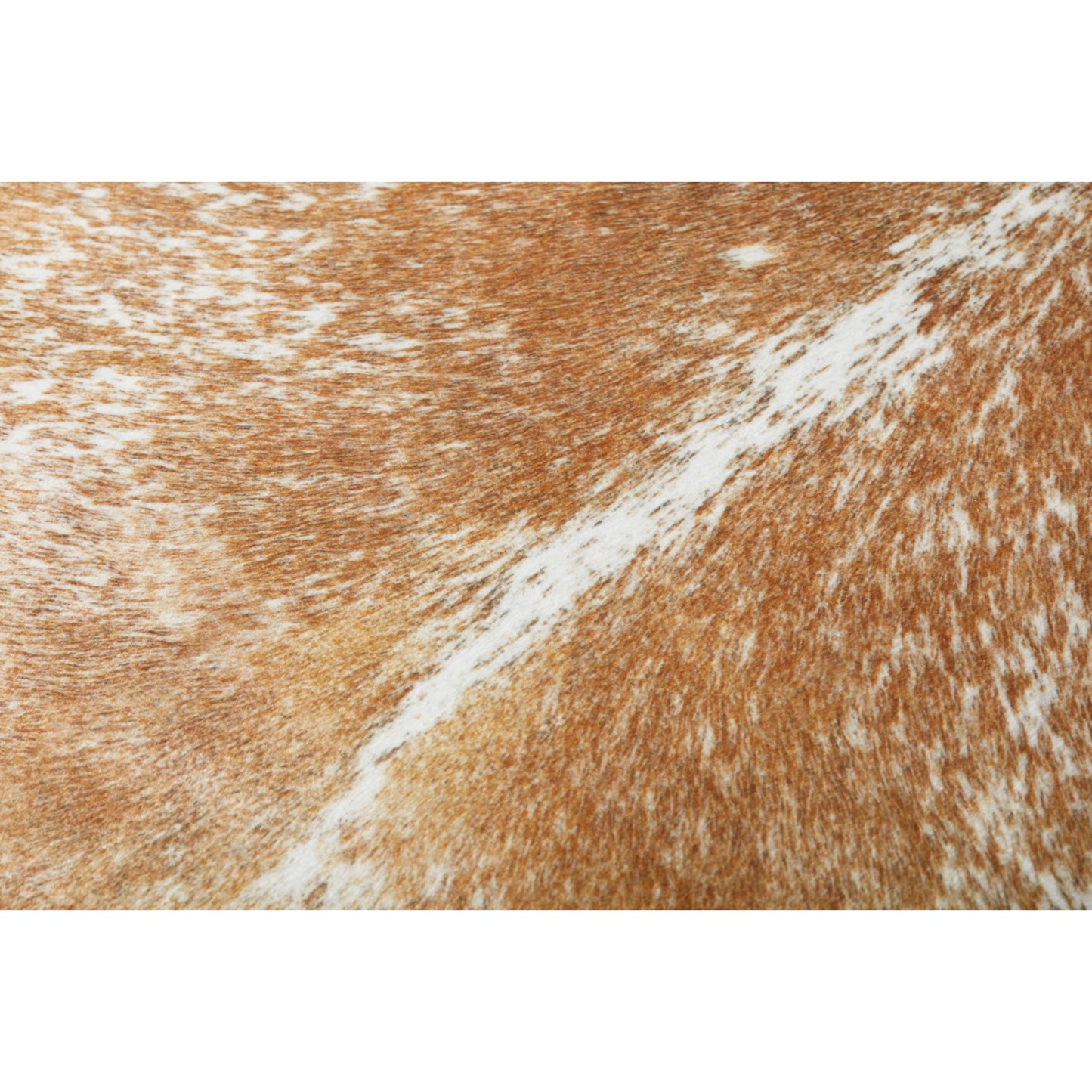 003 SR-900915 | Closeup | FP0002 Pillow by Loloi in beige, white. Made from 100% polyester in a rustic style.