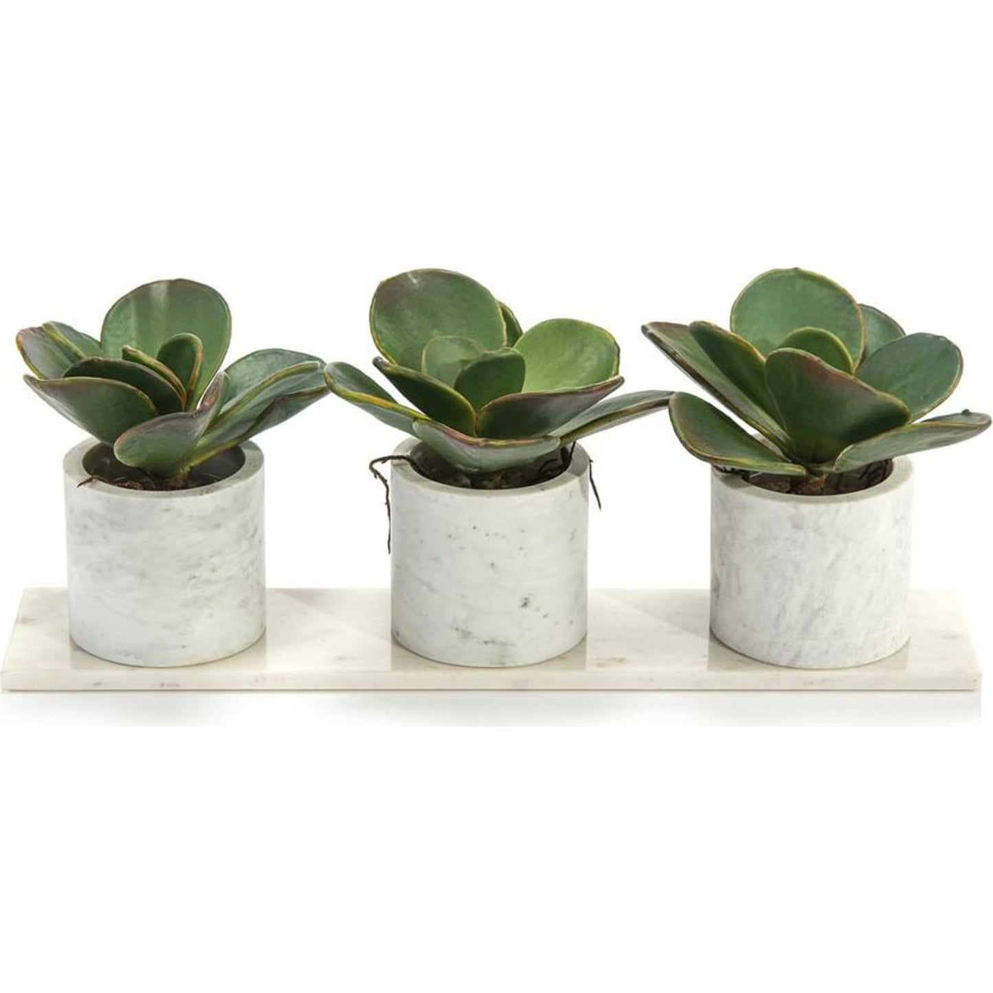 001 SR-864731 | Primary Silo | Marble Succulents by John-Richard in natural. Made from unique in a cottage & farmhouse style.