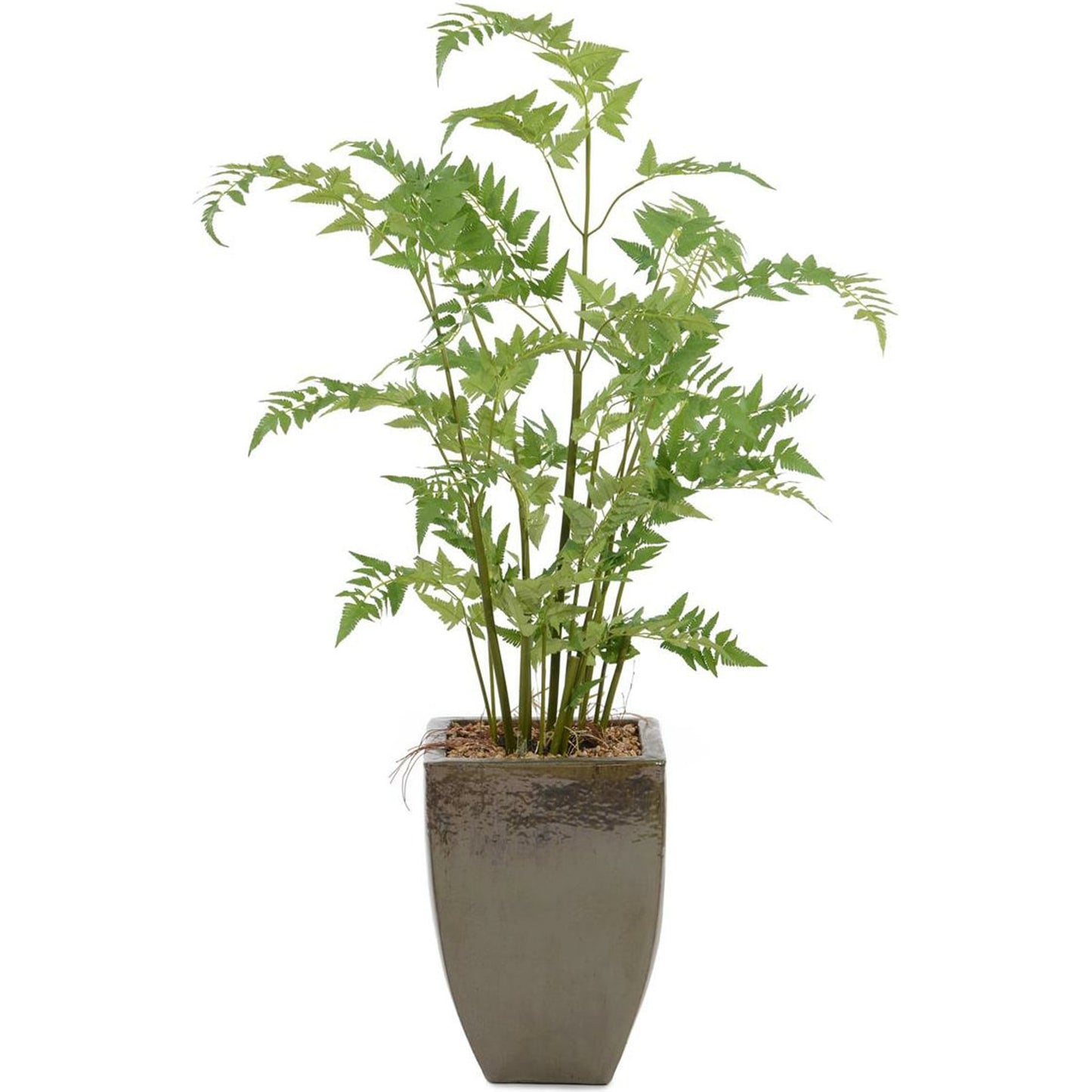 001 SR-884787 | Primary Silo | Mossey Fern by John-Richard in natural. Made from ceramic in a unique style.