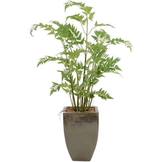 Mossey Fern by John-Richard in natural. Made from ceramic in a unique style.