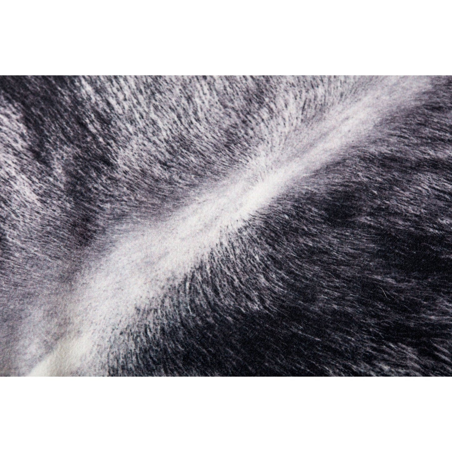 003 SR-901225,SR-901226 | Closeup | P0979 Pillow by Loloi in charcoal. Made from 100% polyester in a modern style.