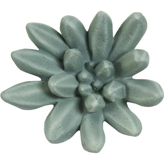 Compactum Succulent Wall Art by Phillips Collection. Made from unique in a modern style.