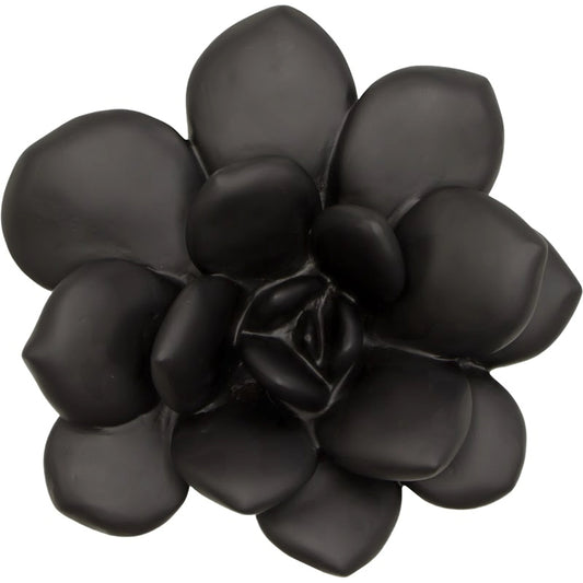 Laui Succulent Wall Art by Phillips Collection. Made from unique in a modern style.