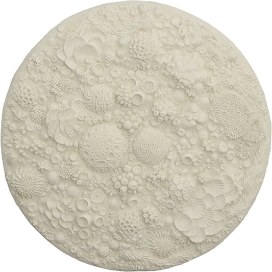 Coral Reef Wall Art II by Phillips Collection in off white. Made from resin in a coastal style.