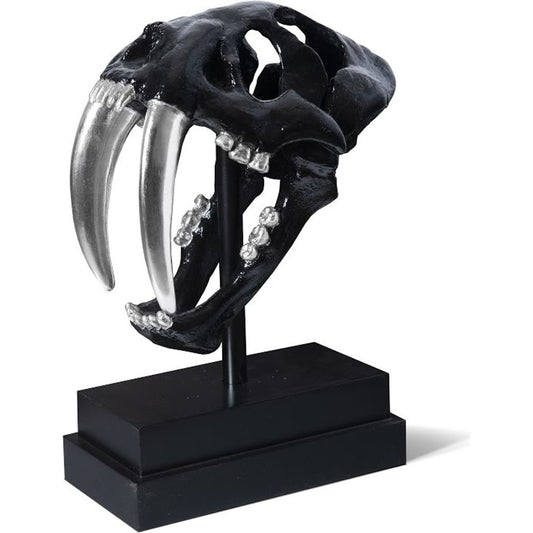 Saber Tooth Tiger Skull by Phillips Collection. Made from unique in a eclectic & global style.
