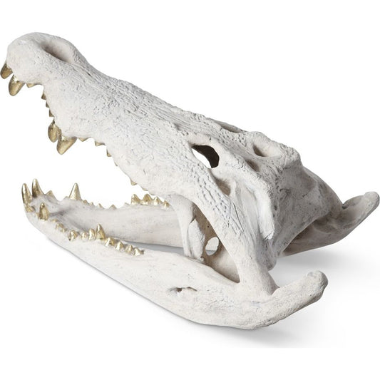 Crocodile Skull by Phillips Collection. Made from unique in a eclectic & global style.