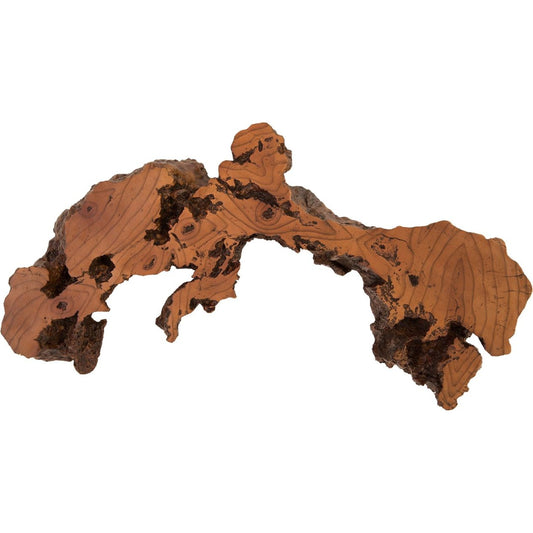 001 SR-820104 | Primary Silo | Burled Root Wall Art I by Phillips Collection in brown and faux bois. Made from resin in a modern style.