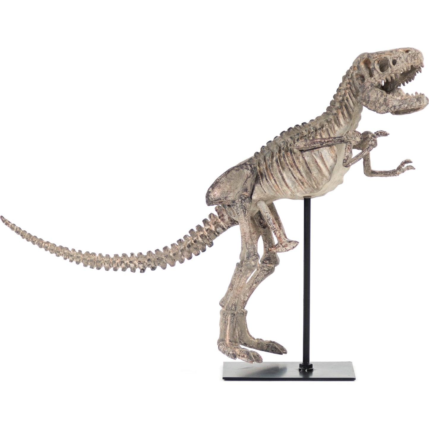 003 S-337048 | Additional Silo | Dinosaur Skeleton by Zentique in distressed brown gray and polyresin, metal. Made from polyresin, metal in a eclectic & global style.