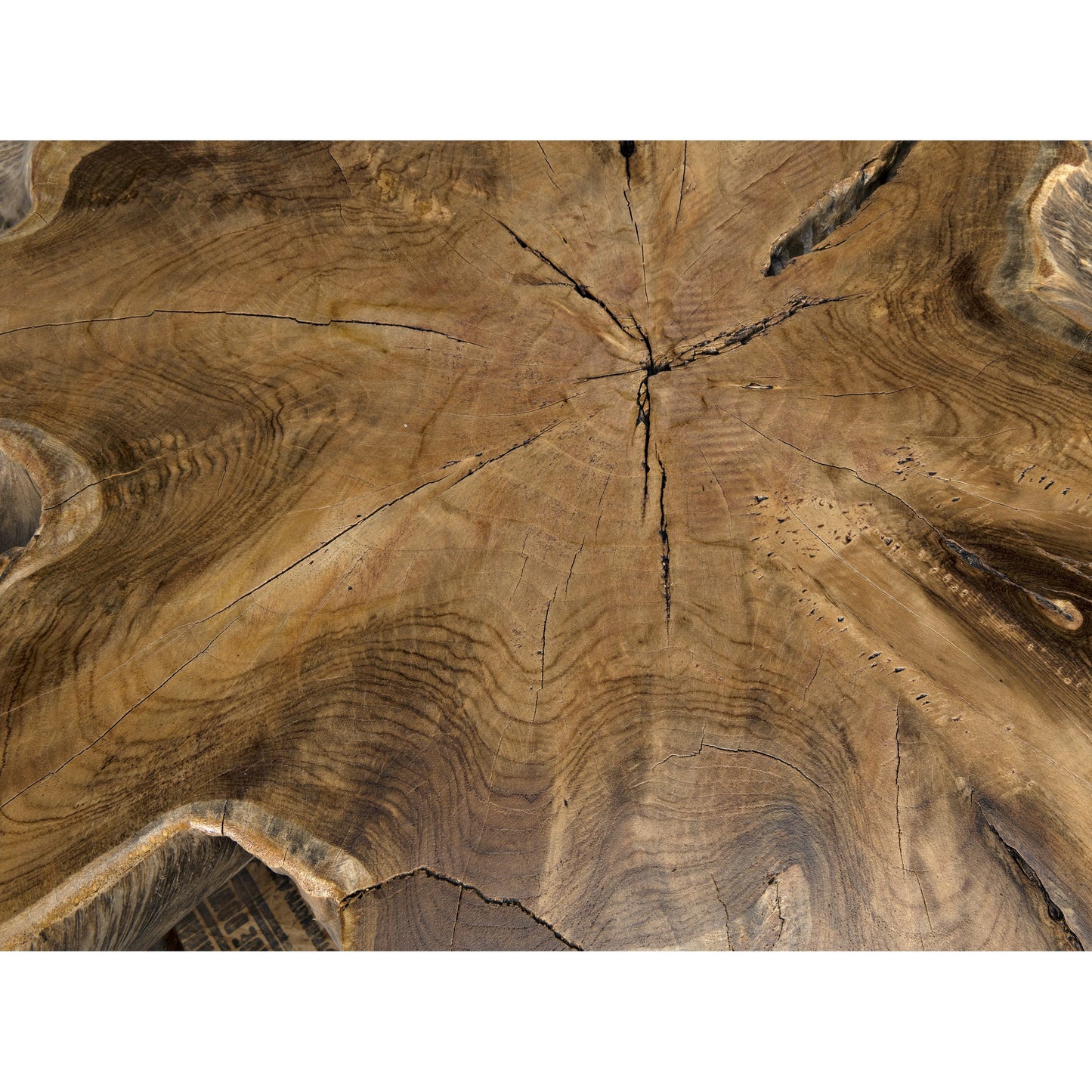 007 SR-387691 | Additional Silo | Teak Root Coffee Table by Noir in teak root. Made from teak root in a eclectic & global style.