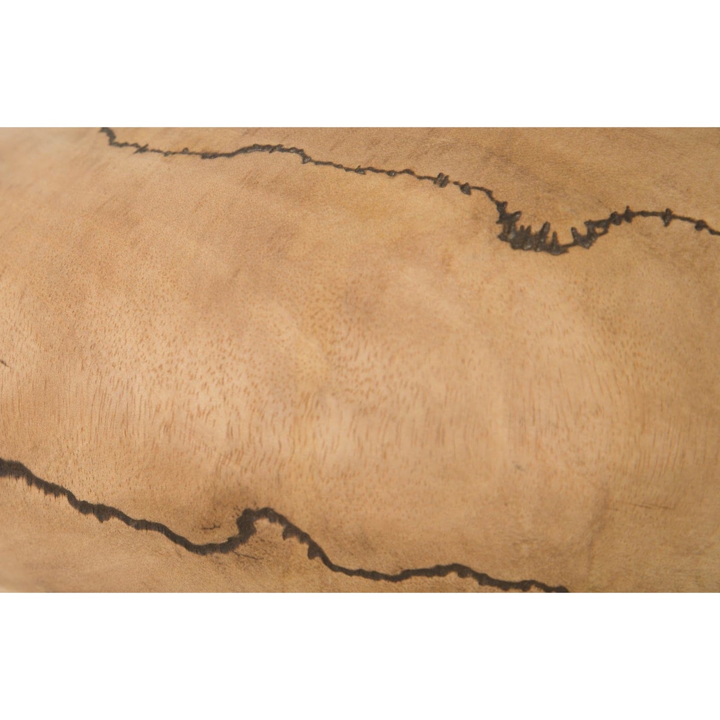 012 SR-820586 | Closeup | Lightning Vase by Phillips Collection in brown and charred, natural. Made from wood in a eclectic & global style.