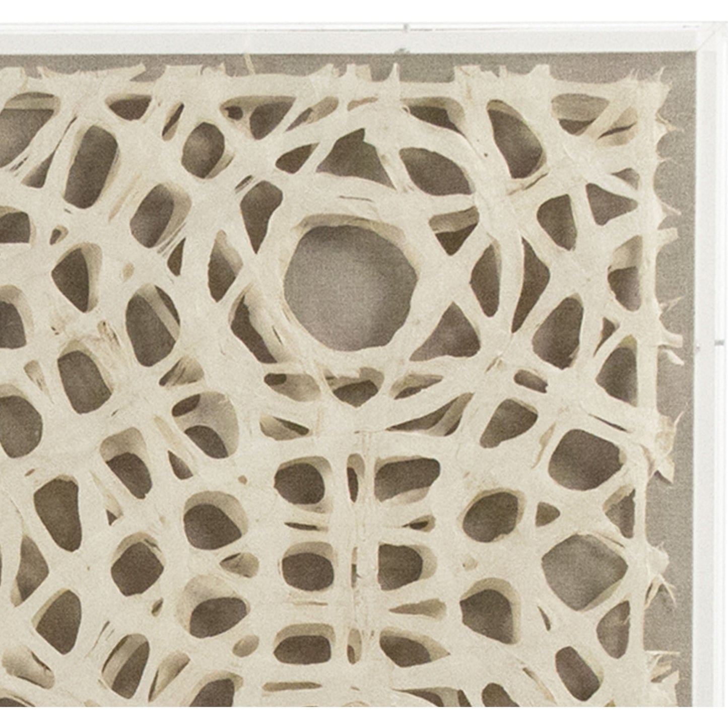 003 S-338619 | Closeup | Abstract Paper Acrylic Framed Art I by Zentique in ox horns on neutral background in acrylic frame and acrylic, paper, linen. Made from acrylic, mdf in a modern style.