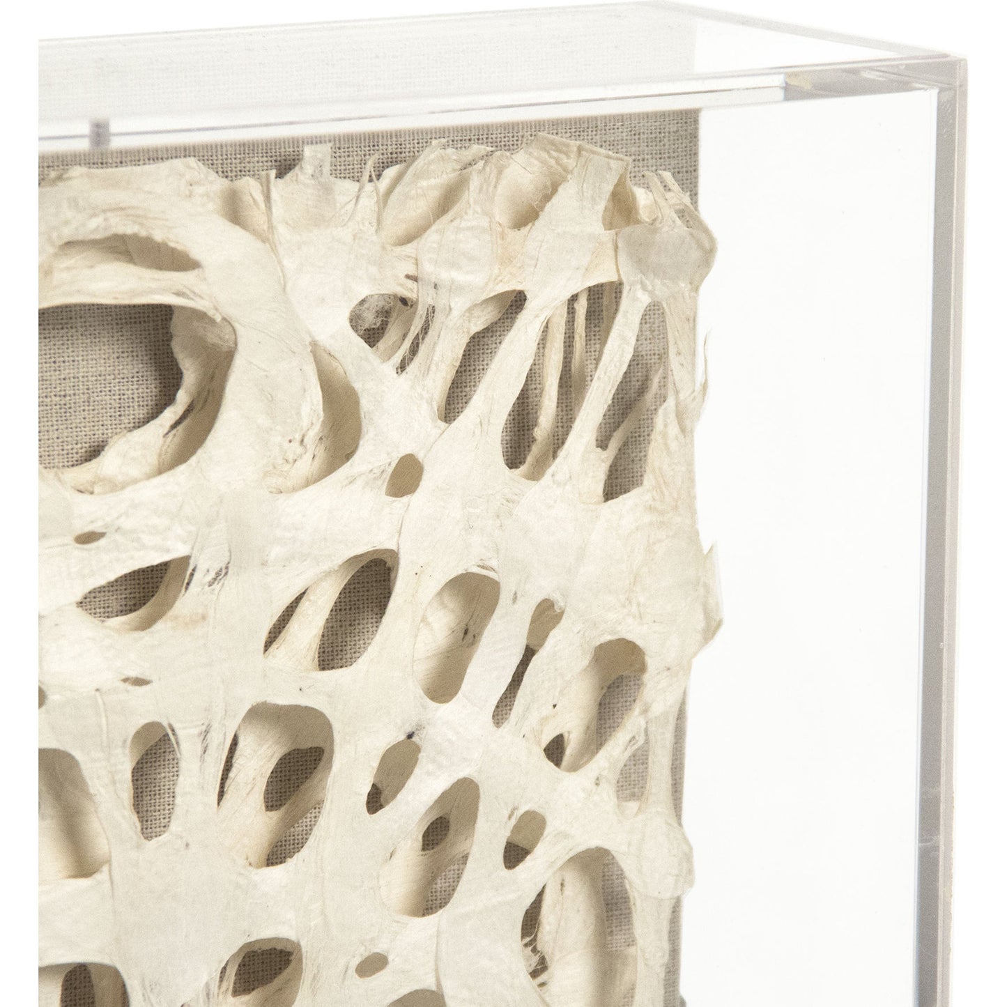 003 S-338624 | Closeup | Abstract Paper Acrylic Framed Art VI by Zentique in ox horns on neutral background in acrylic frame and acrylic, paper, linen. Made from acrylic, mdf in a modern style.