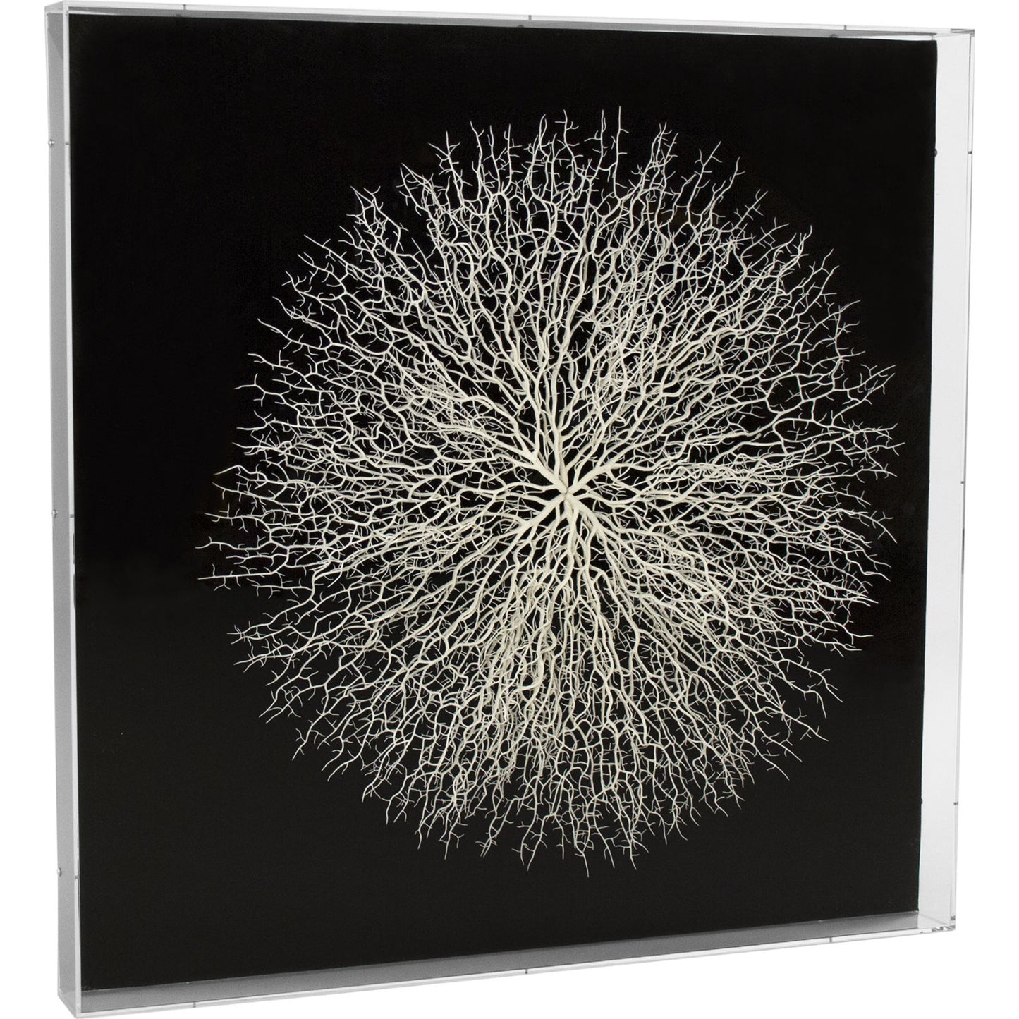 002 S-336386 | Primary Silo | Abstract Branches by Zentique in acrylic. Made from acrylic, mdf in a modern style.