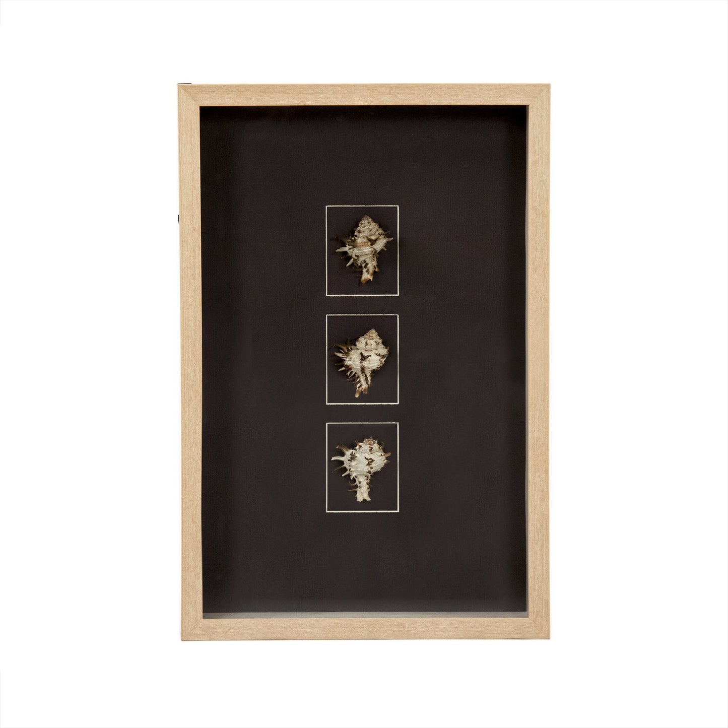 014 SR-900040 | Additional Silo | Abstract Shell Wall Art by Zentique. Made from unique in a modern style.