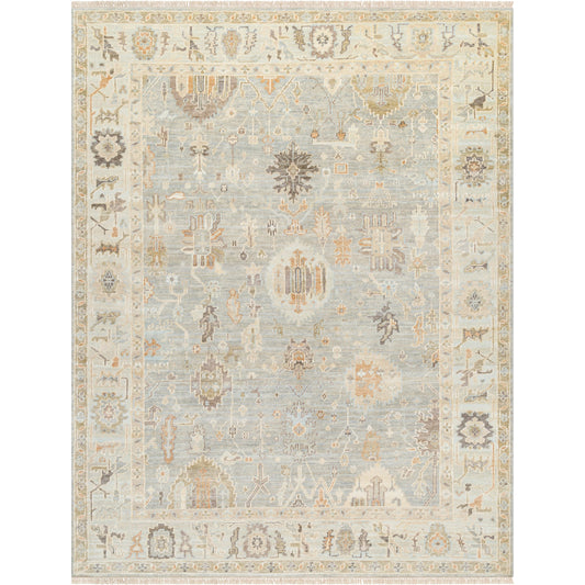 Antalya Rug - 488630 by Surya in brown, medium brown, beige. Made from face: 100% wool, warp: 100% cotton in a unique style.