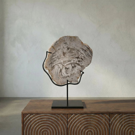 Wood Fossil by Noir in fossil, metal. Made from fossil, metal in a eclectic & global style.