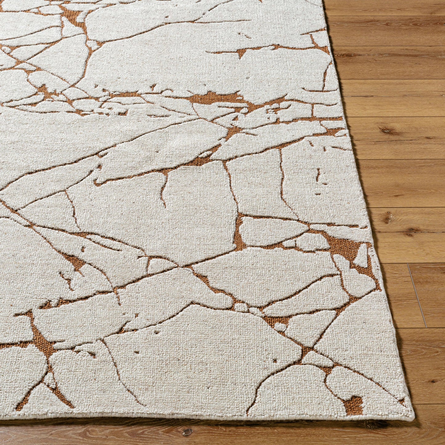 003 SI-2165600,SI-2165601,SI-2165602,SI-2165603,SI-2165604 | Closeup | Arbora Rug by Surya in light silver, silver, prairie dust. Made from wool, rayon in a unique style.