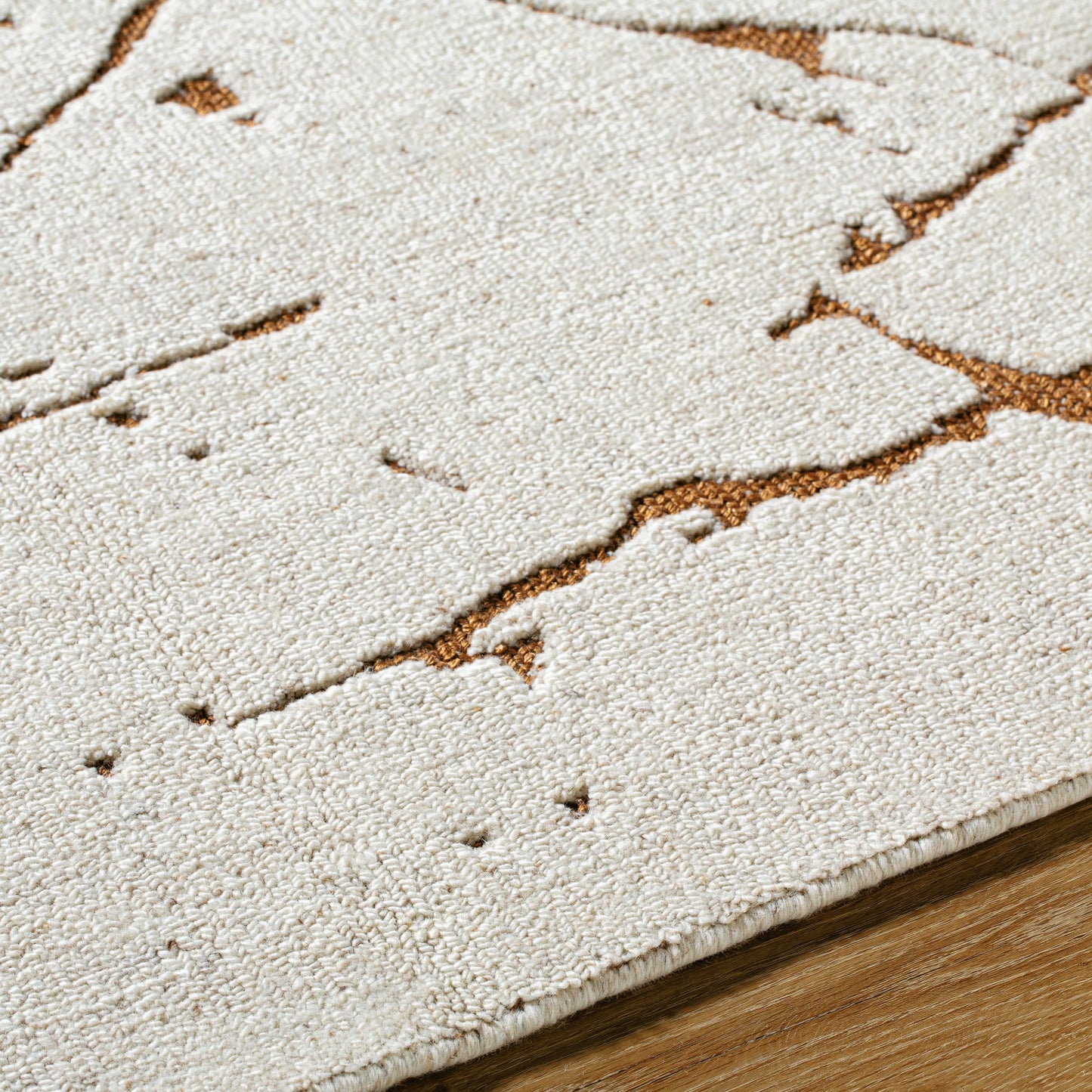 004 SI-2165600,SI-2165601,SI-2165602,SI-2165603,SI-2165604 | Closeup | Arbora Rug by Surya in light silver, silver, prairie dust. Made from wool, rayon in a unique style.
