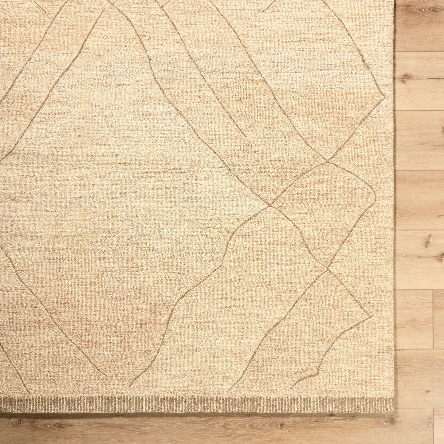 005 SI-2257472,SI-2257473,SI-2257474 | Closeup | Arsenal ARL-2304 Rug by Livabliss in beige, sandstone, taupe. Made from wool in a unique style.