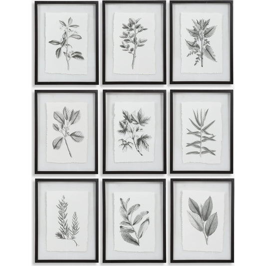 Floral Framed Prints by Uttermost in multi. Made from iron, glass, cotton paper in a cottage & farmhouse style.