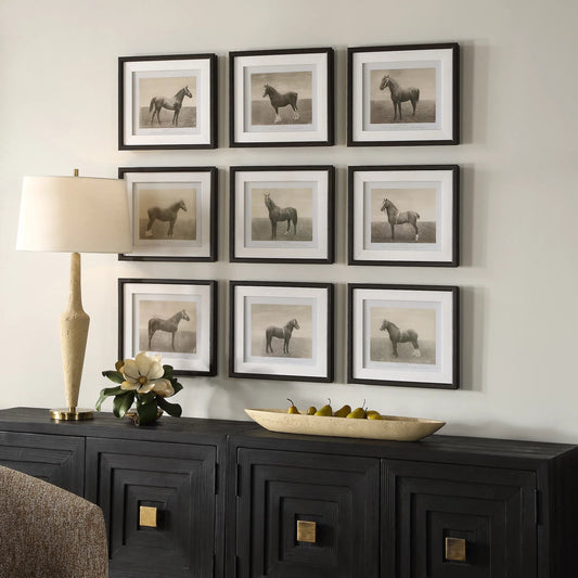 Equine Dynasty Framed Prints (Set of 9) by Uttermost. Made from plastic, glass, mdf, paper in a traditional style.