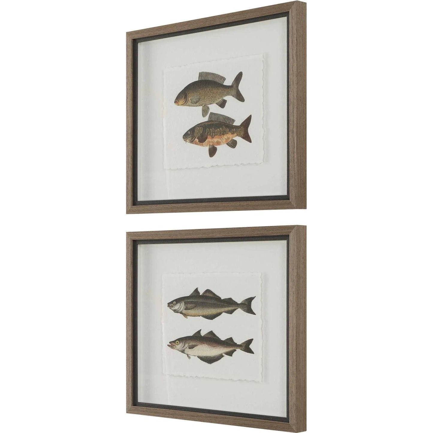 002 SI-2386736 | Additional Silo | The Catch Framed Fish Prints by Uttermost in rustic gray. Made from plastic, glass, mdf, paper in a coastal style.