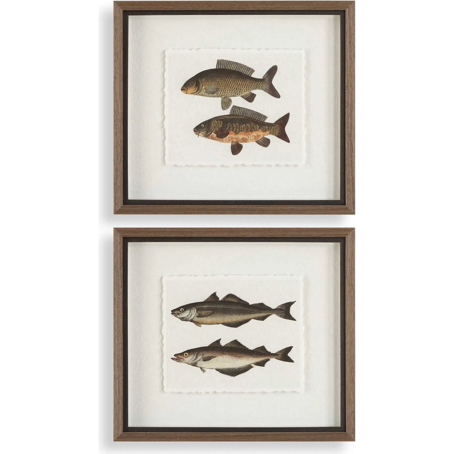 001 SI-2386736 | Primary Silo | The Catch Framed Fish Prints by Uttermost in rustic gray. Made from plastic, glass, mdf, paper in a coastal style.