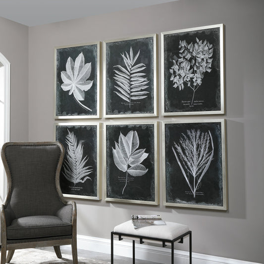 Foliage Framed Prints (Set of 6) by Uttermost in multi. Made from plastic, glass in a cottage & farmhouse style.