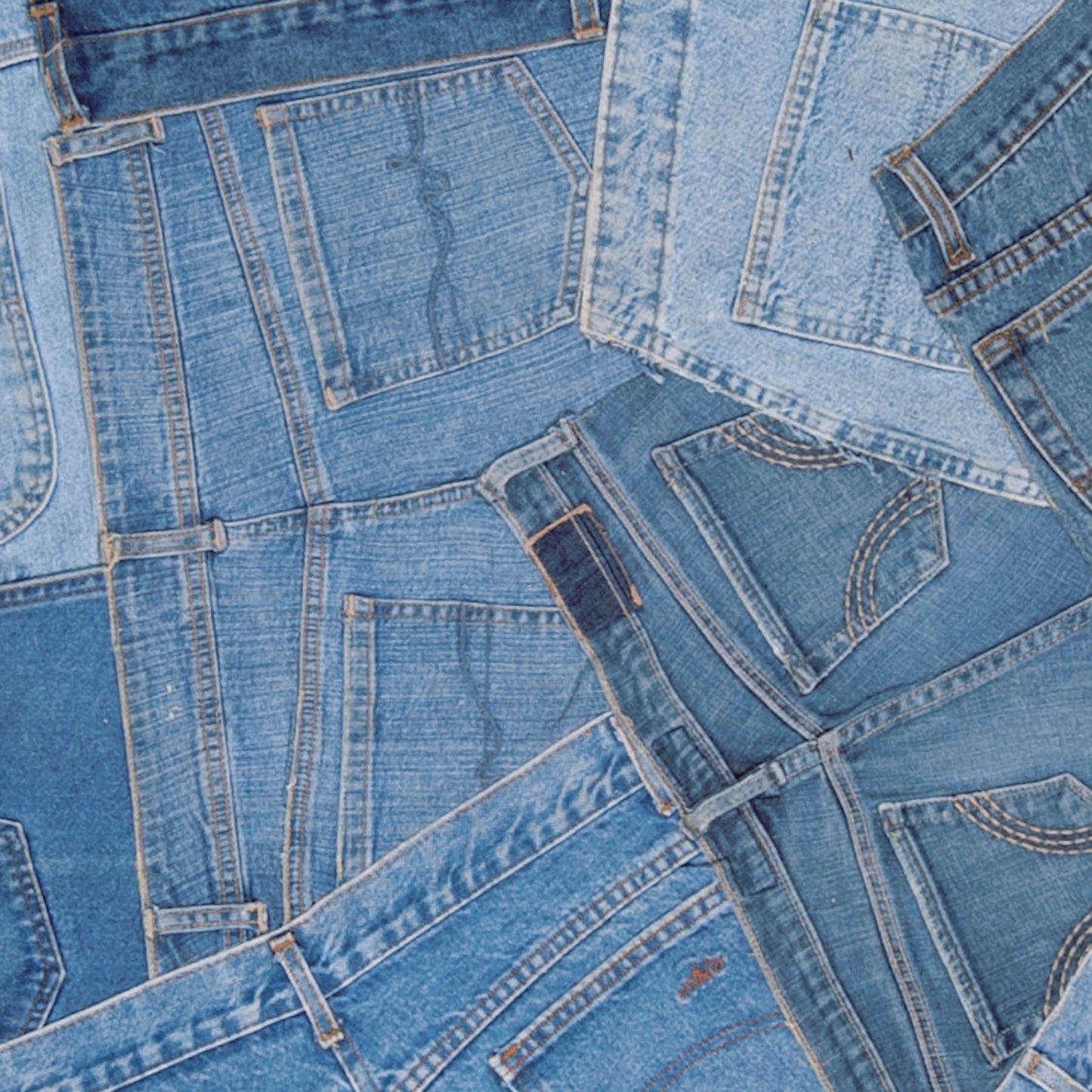 003 SI-2130846 | Closeup | Faithful Rug - 16231 by Surya. Made from face: 100% wool in a unique style.