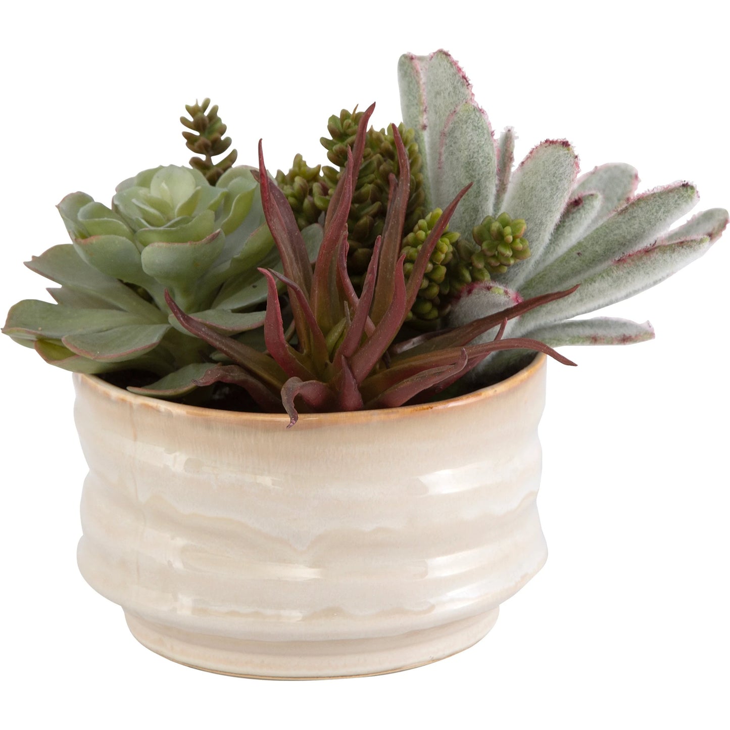 002 SI-2146901 | Primary Silo | Mesa Succulent Accent by Uttermost in tan. Made from plastic, ceramic, foam, iron, glue in a modern style.