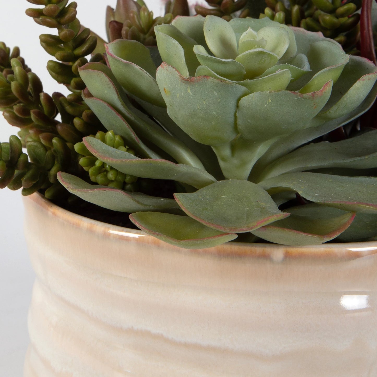 004 SI-2146901 | Closeup | Mesa Succulent Accent by Uttermost in tan. Made from plastic, ceramic, foam, iron, glue in a modern style.