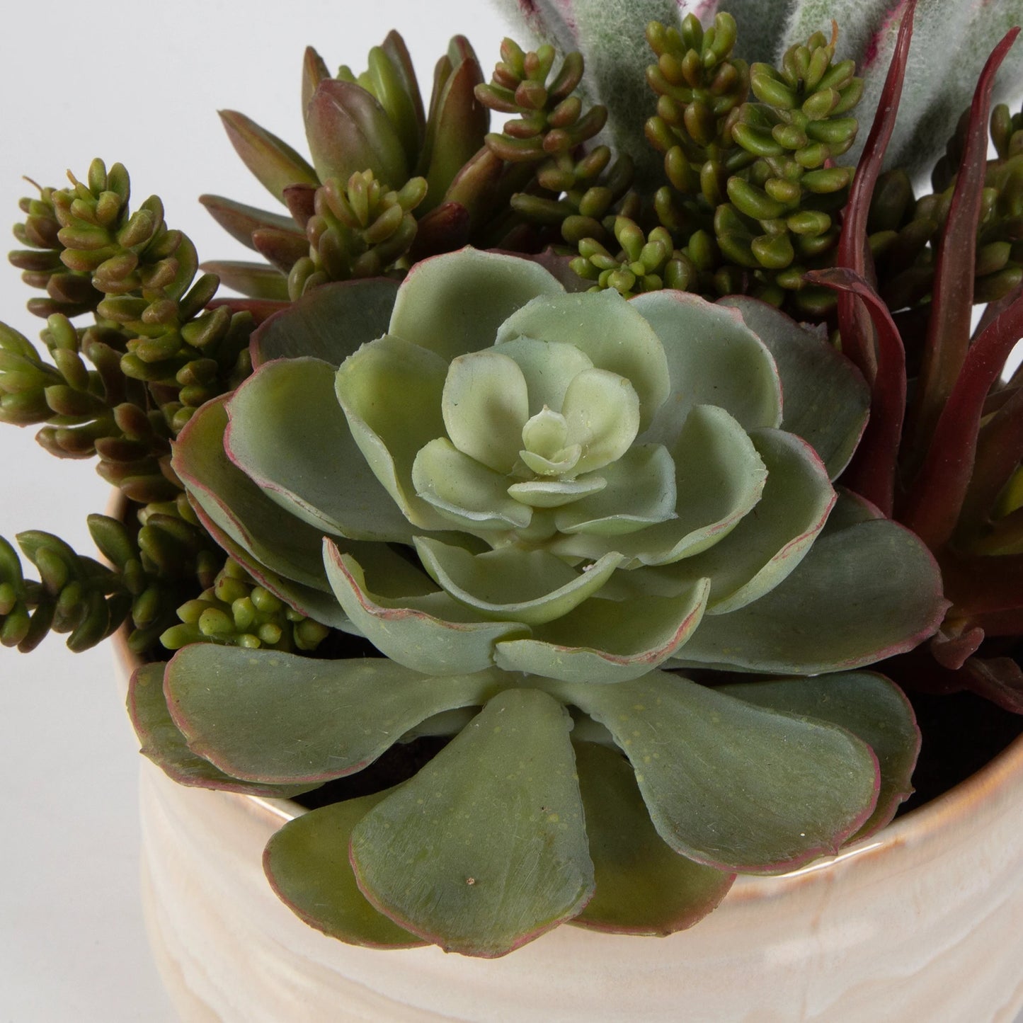 005 SI-2146901 | Closeup | Mesa Succulent Accent by Uttermost in tan. Made from plastic, ceramic, foam, iron, glue in a modern style.