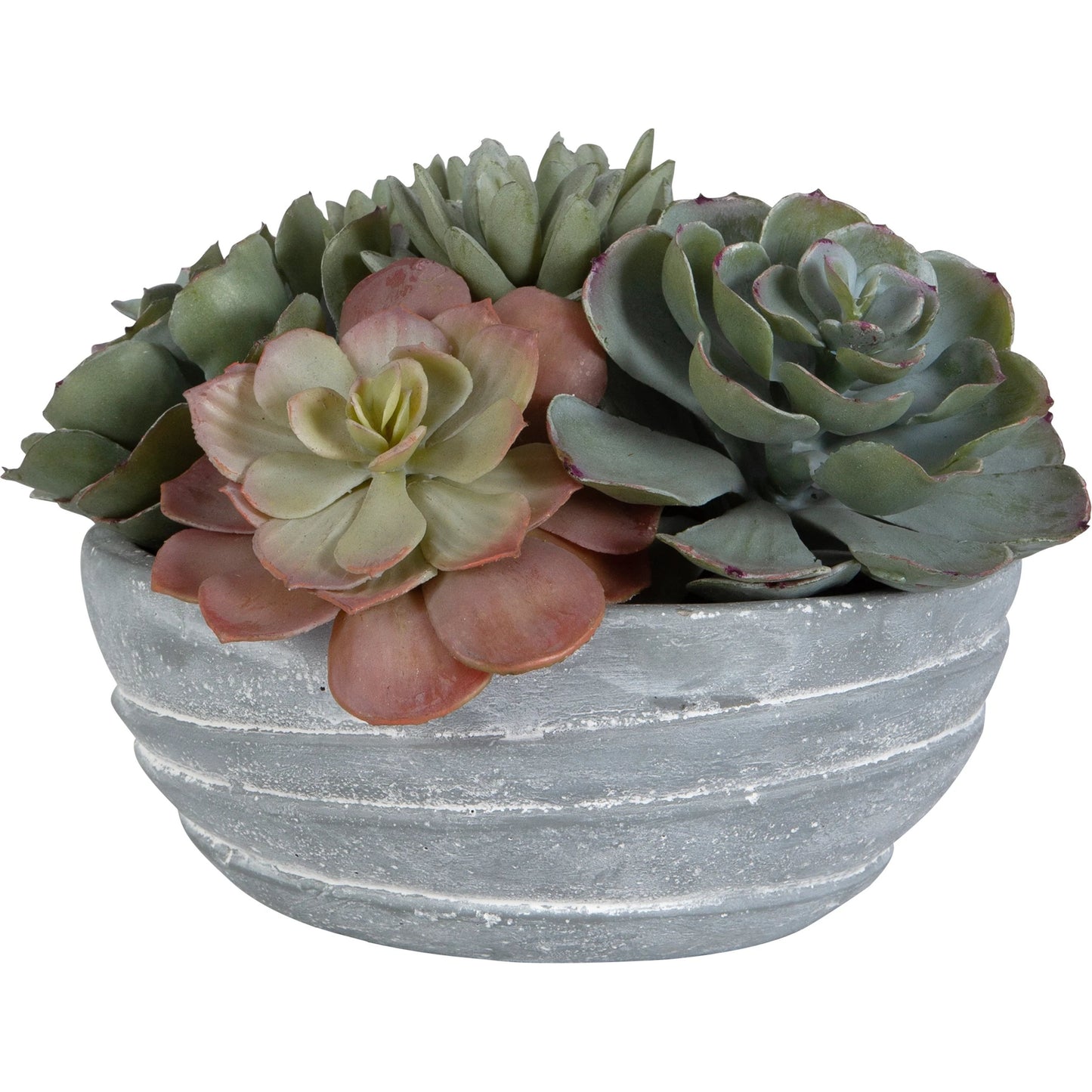 002 SI-2146904 | Primary Silo | Peoria Succulent Accent by Uttermost in green. Made from plastic, cement, iron, glue in a modern style.