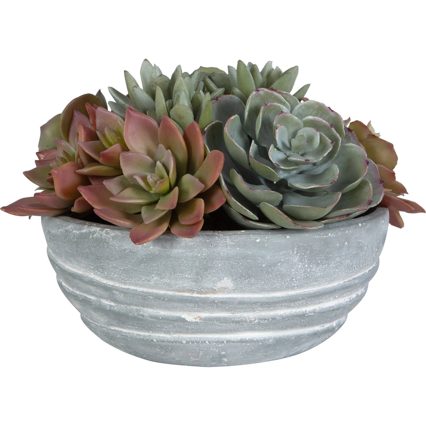003 SI-2146904 | Primary Silo | Peoria Succulent Accent by Uttermost in green. Made from plastic, cement, iron, glue in a modern style.