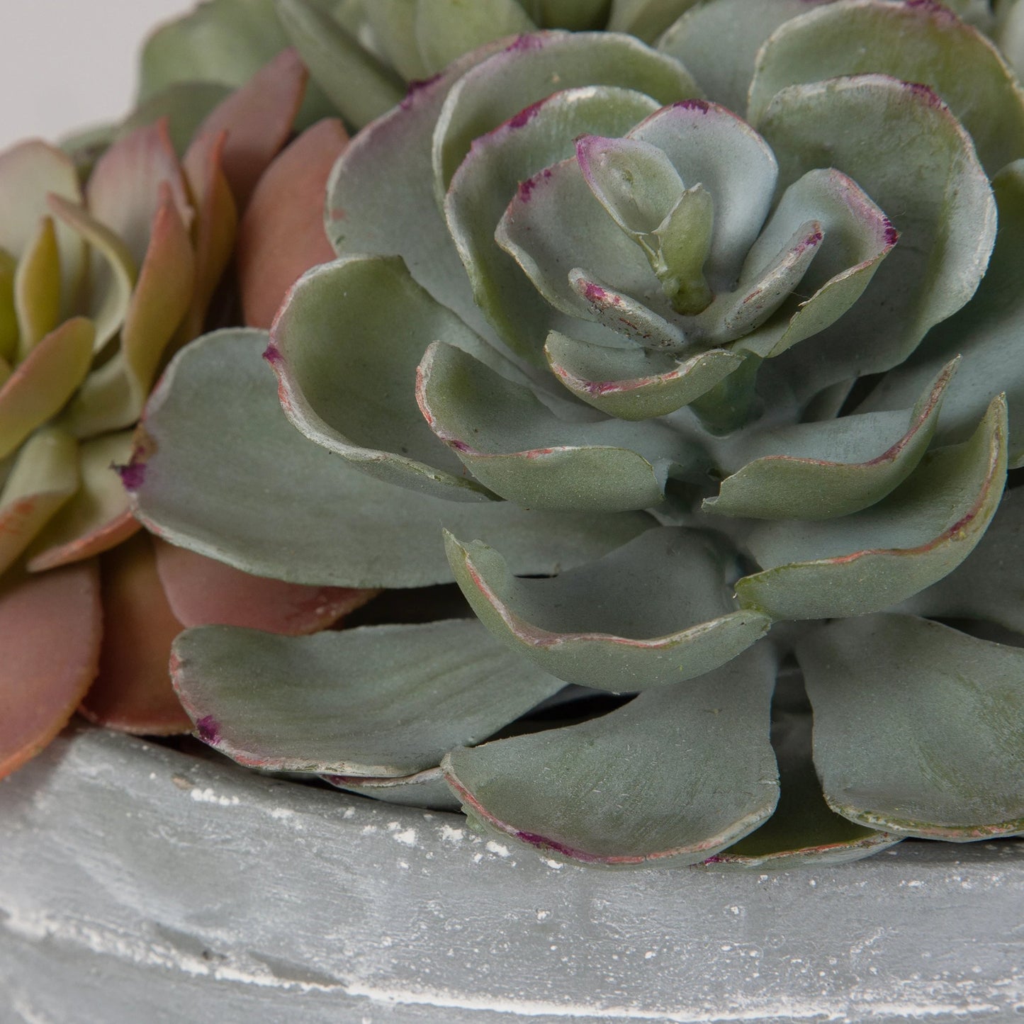 004 SI-2146904 | Closeup | Peoria Succulent Accent by Uttermost in green. Made from plastic, cement, iron, glue in a modern style.