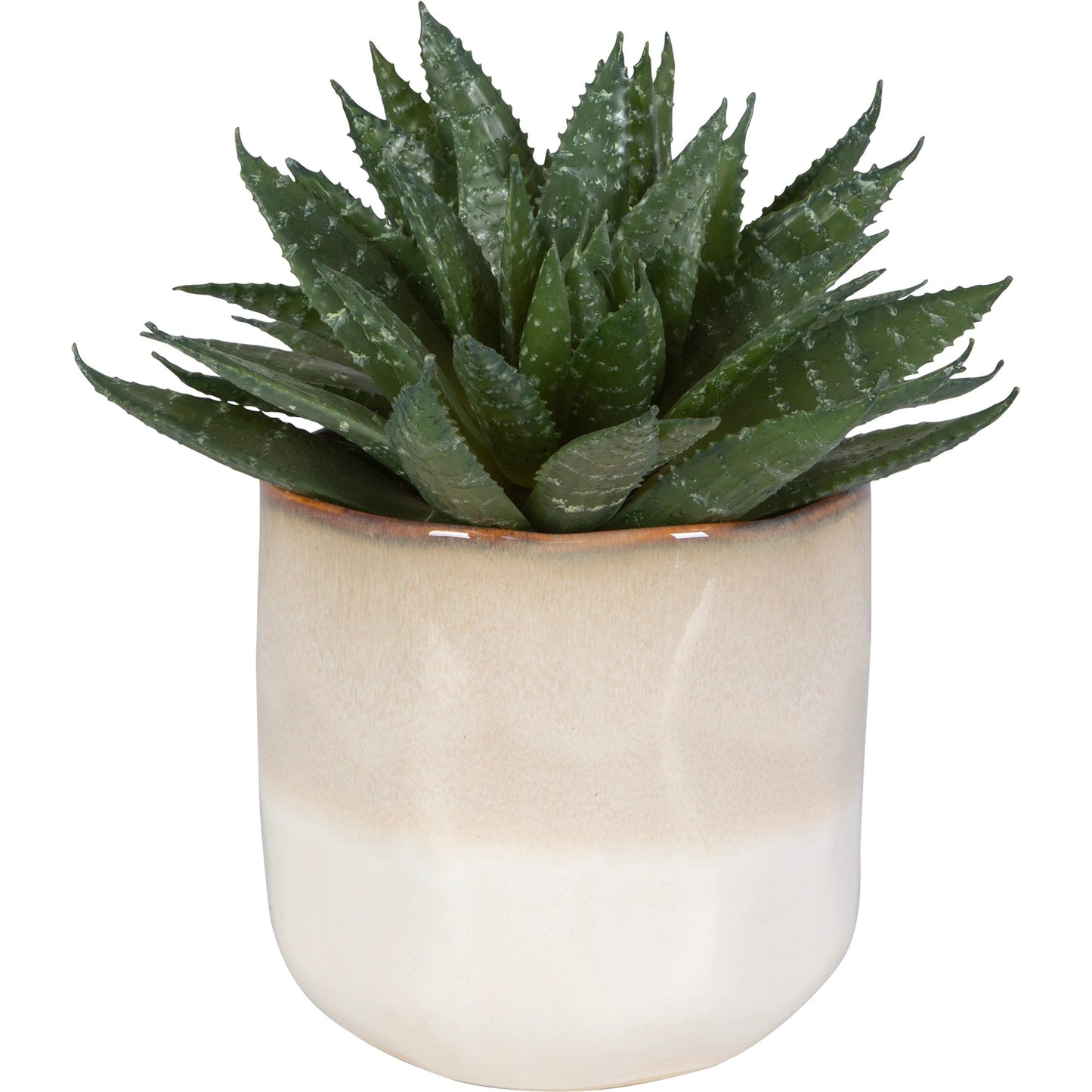 002 SI-2146905 | Primary Silo | Doha Succulent Accent by Uttermost in beige. Made from plastic, ceramic, iron, glue in a modern style.