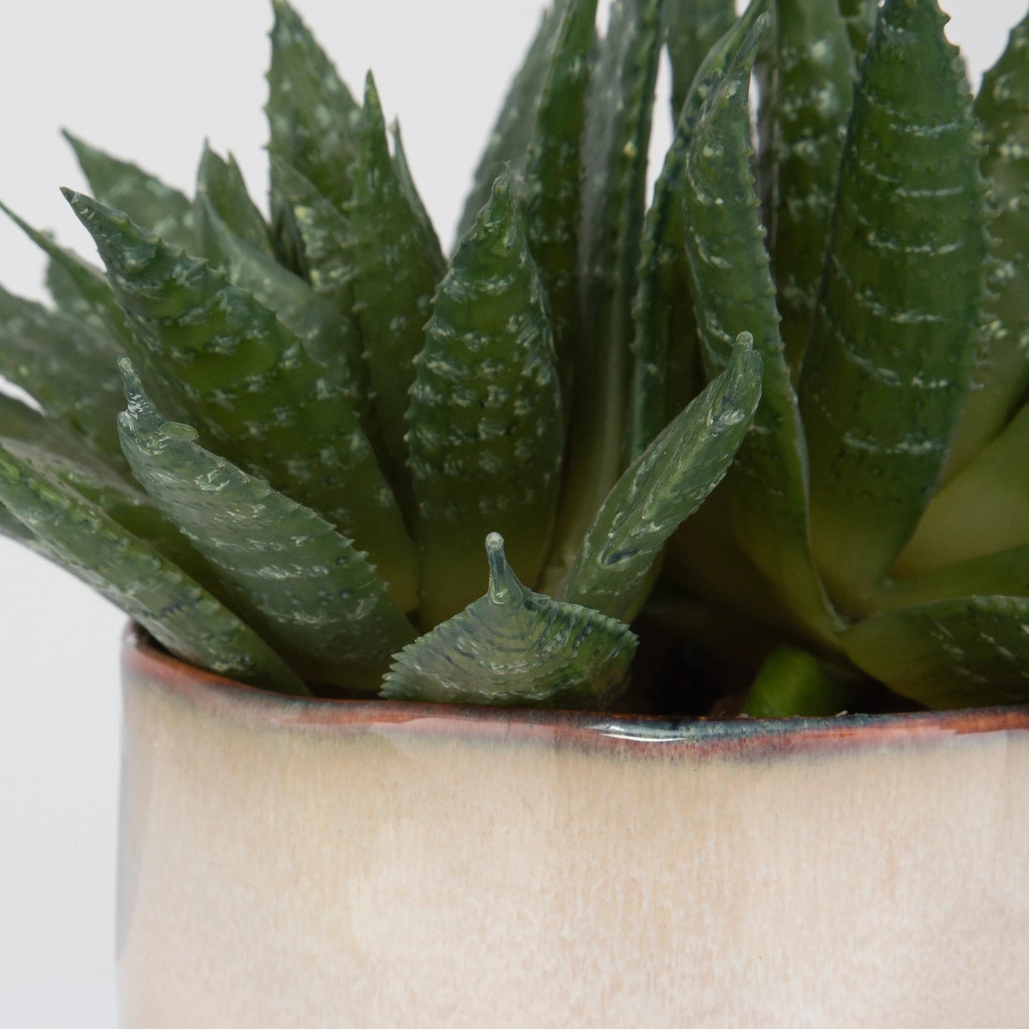 004 SI-2146905 | Closeup | Doha Succulent Accent by Uttermost in beige. Made from plastic, ceramic, iron, glue in a modern style.