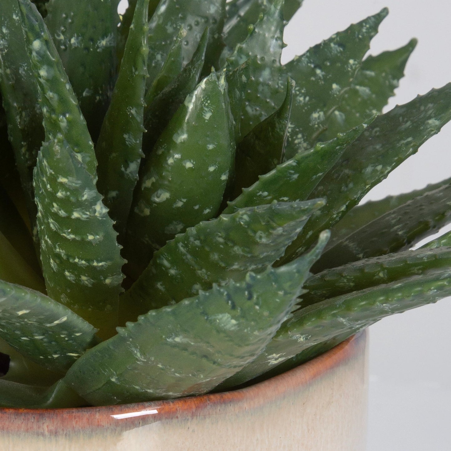 005 SI-2146905 | Closeup | Doha Succulent Accent by Uttermost in beige. Made from plastic, ceramic, iron, glue in a modern style.