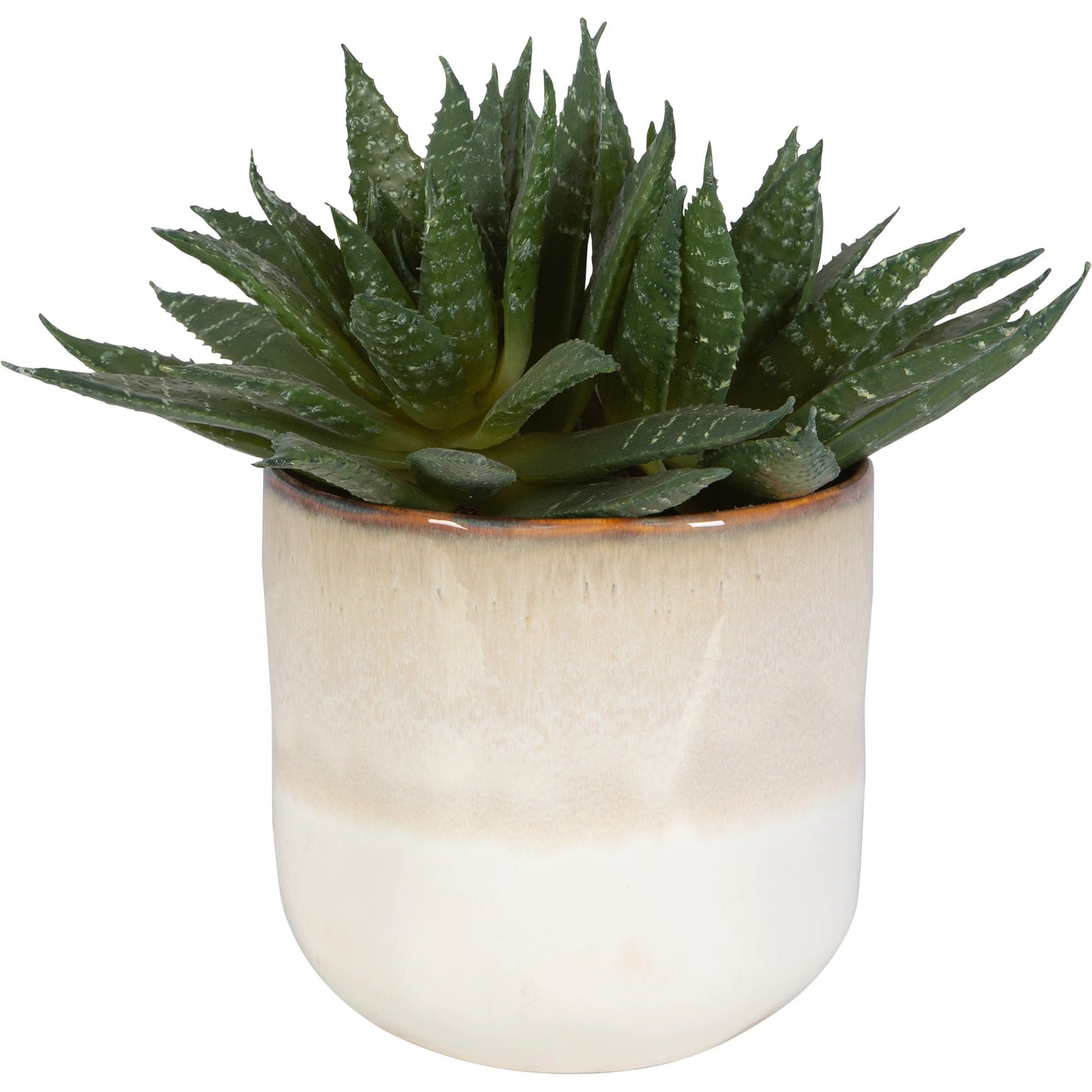 001 SI-2146905 | Primary Silo | Doha Succulent Accent by Uttermost in beige. Made from plastic, ceramic, iron, glue in a modern style.