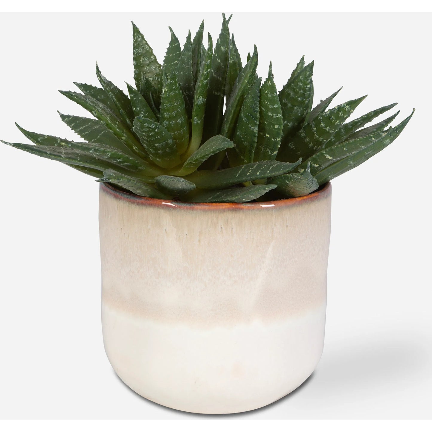 003 SI-2146905 | Primary Silo | Doha Succulent Accent by Uttermost in beige. Made from plastic, ceramic, iron, glue in a modern style.